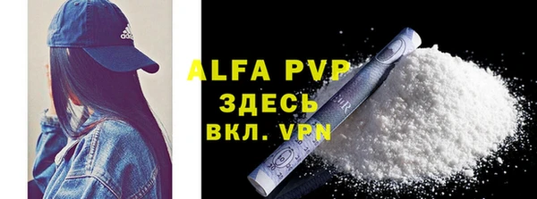 хмурый Белокуриха