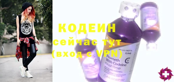 хмурый Белокуриха
