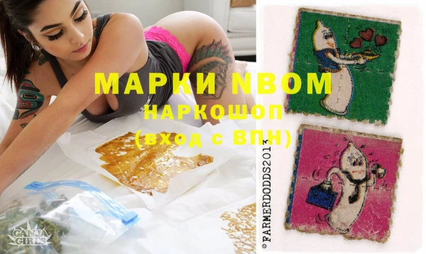 хмурый Белокуриха