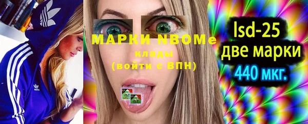 хмурый Белокуриха