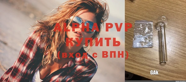 хмурый Белокуриха