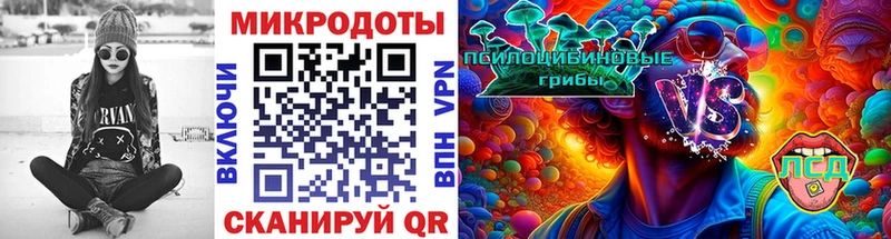 Купить где  Бежецк  Галлюциногенные грибы GOLDEN TEACHER 