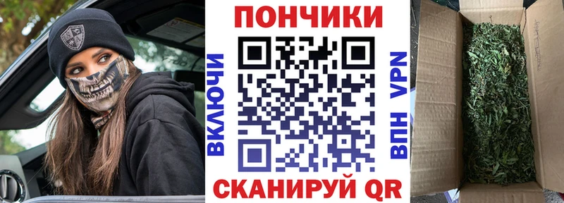 Бошки марихуана OG Kush Купить Бежецк